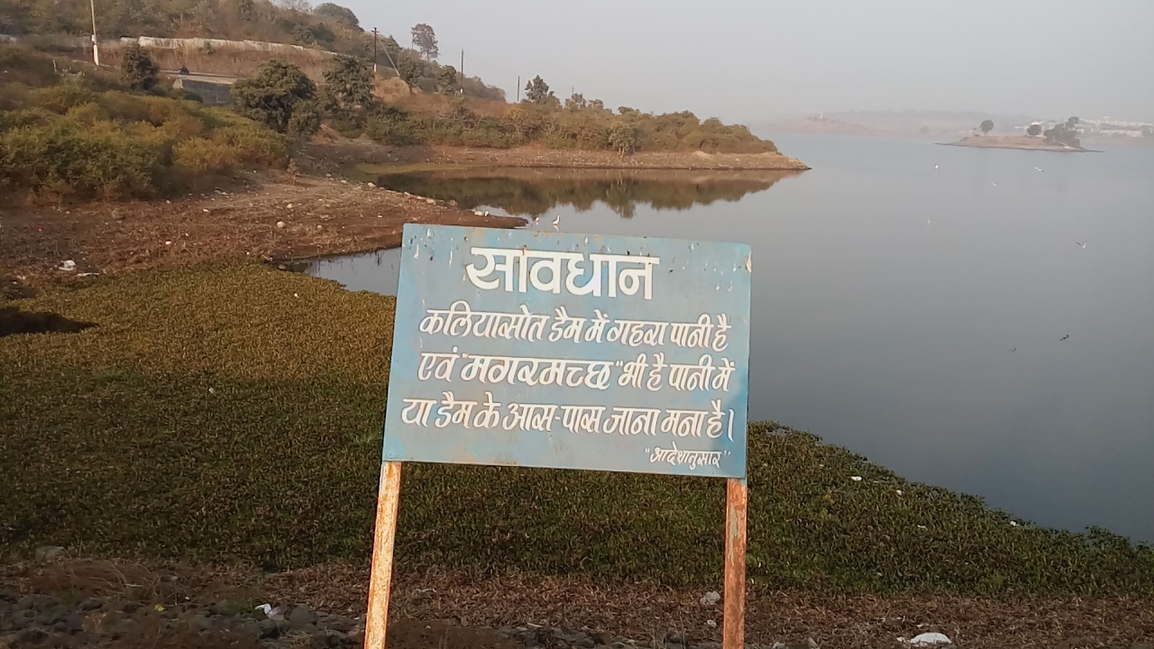 Kaliyasot Dam Bhopal dam With Crocodile Beautiful Bhopal YouTube