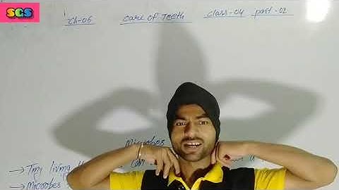 Class 4 chapter 6 part 2 Teeth and Microbes lecture with notes