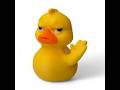 Dear RubberDucky...