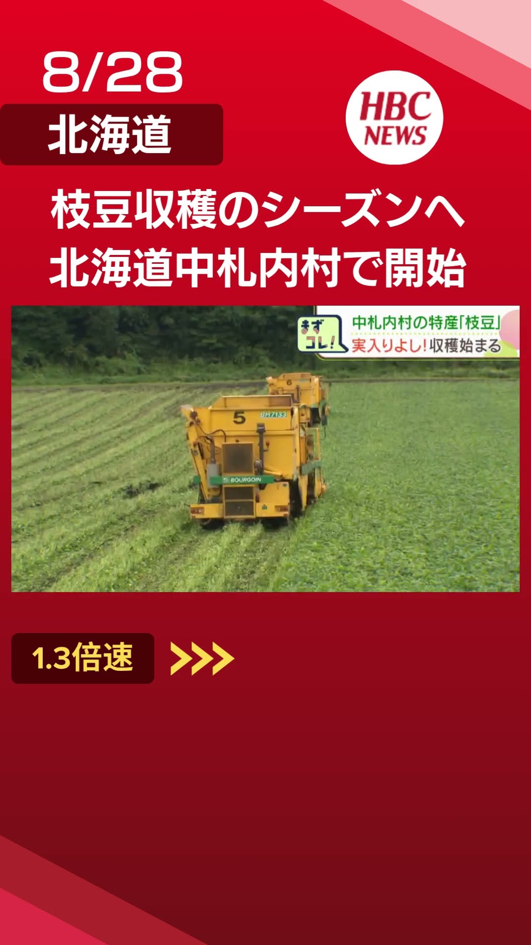 Edamame harvest begins in Nakasatsunai Village, Hokkaido. Large