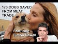 DOG MEAT TRADE RESCUE / Featuring Simon Cowell & Pete Wicks