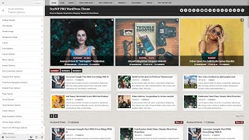Customizer Theme Options - TextWP PRO WordPress Theme