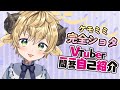 【自己紹介】Vtuber一問一答自己紹介【ぽむ・めると/新人Vtuber】