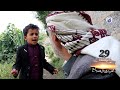 اشراقة الصباح 29 شاجع يردالجميل لى مصلح وسيم يشتري الكبش من سارق للعراس اشراقة الصباح 29 شاجع يردالجميل لى مصلح وسيم يشتري الكبش من سارق للعراس