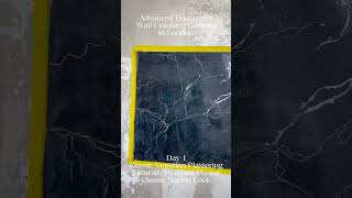 Decorative Wall Effect Courses In London interiordesign venetianplaster decorativewall wallart