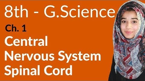 8th Class General Science - Ch 1 - Spinal Cord - General Science 8th Class
