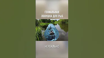 Как Поймать Рыбу Без Удочки #shorts