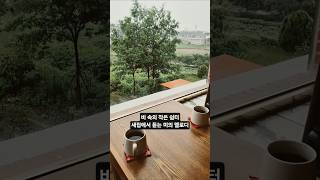 전주 만성동 매화록 커페에서 바라본 풍경 #맛집 #전주 #전북현대