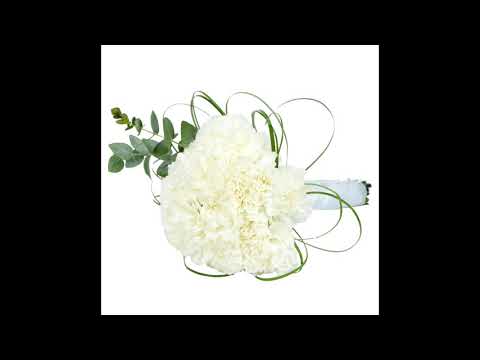 Видео: Какви цветя да подарите за сватба на младоженци?