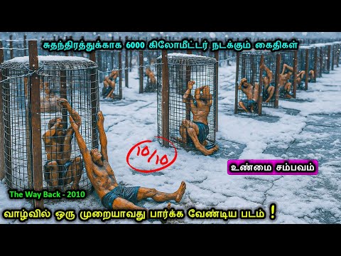 சுதந்திரத்துக்காக 6000 கிலோமீட்டர் நடக்கும் கைதிகள் | Tamil Recap | movie story explained in tamil