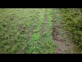 Dji Mavic Pro with Deer