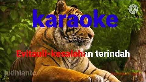 Karaoke-Evitauli-kesalahan terindah