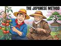 Why Japanese Tomato Plants Produce Fruit, Not Leaves — The Complete Guide