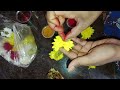 vaikunta ekadashi vlog 🌹 ಮೇಘನಾ last dance performance ಅನಿಸುತ್ತೆ