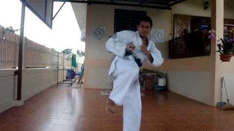 2nd Kyu Brown Belt Grading Pt 2