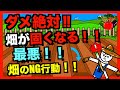 【注意】畑の土が固くなる原因!!濡れた土を耕してはいけない理由!初めての畑作りで失敗!【アニメでわかる家庭菜園・ガーデニング解説】