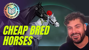How to get a cheap bred horse on Zed Run