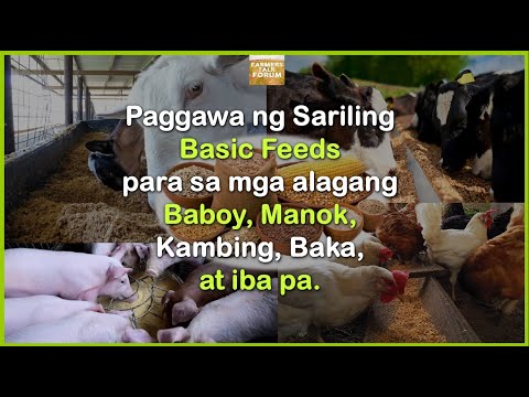 Video: Mineral powder para sa paggawa ng mga halo ng asp alto