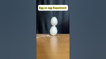 Easy Simple Science Experiment  magic ||Egg on egg🫣 #shorts #experiment #viral #trending