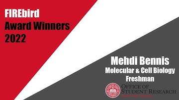 FIREbird 2022 Research Grant Winner | Mehdi Bennis