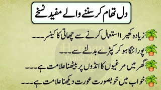 Rumi quotes urdu | hikmat ki batain | sunharay haroof golden words | quotes about life  screenshot 4
