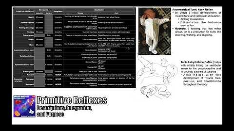 Primitive Reflexes Through 1st Year of Life [per NPTE]