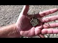 Beach metal detecting