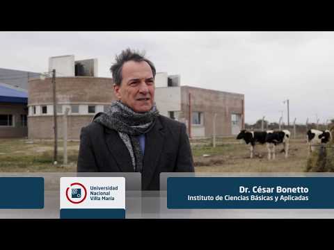 Video: Llenando La Cuenta En La Práctica Veterinaria