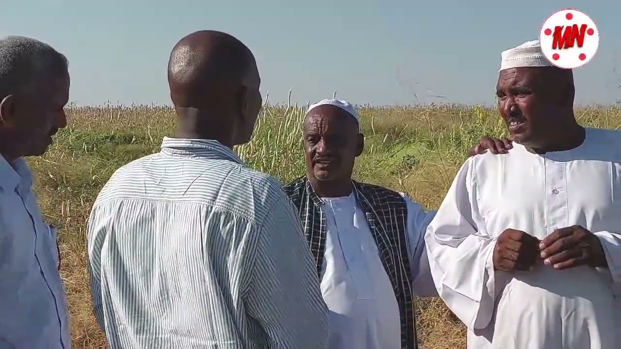 نجاح كبير لمشروع الأمن الغذائي لصغار المزارعين بمحلية شرق الجزيرة 