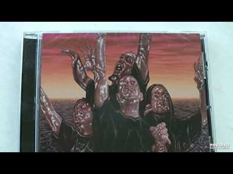 Plasticize - Thickliquid