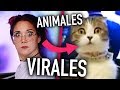 IMITANDO VÍDEOS VIRALES de ANIMALES *MUY GRACIOSOS* | Carla Laubalo