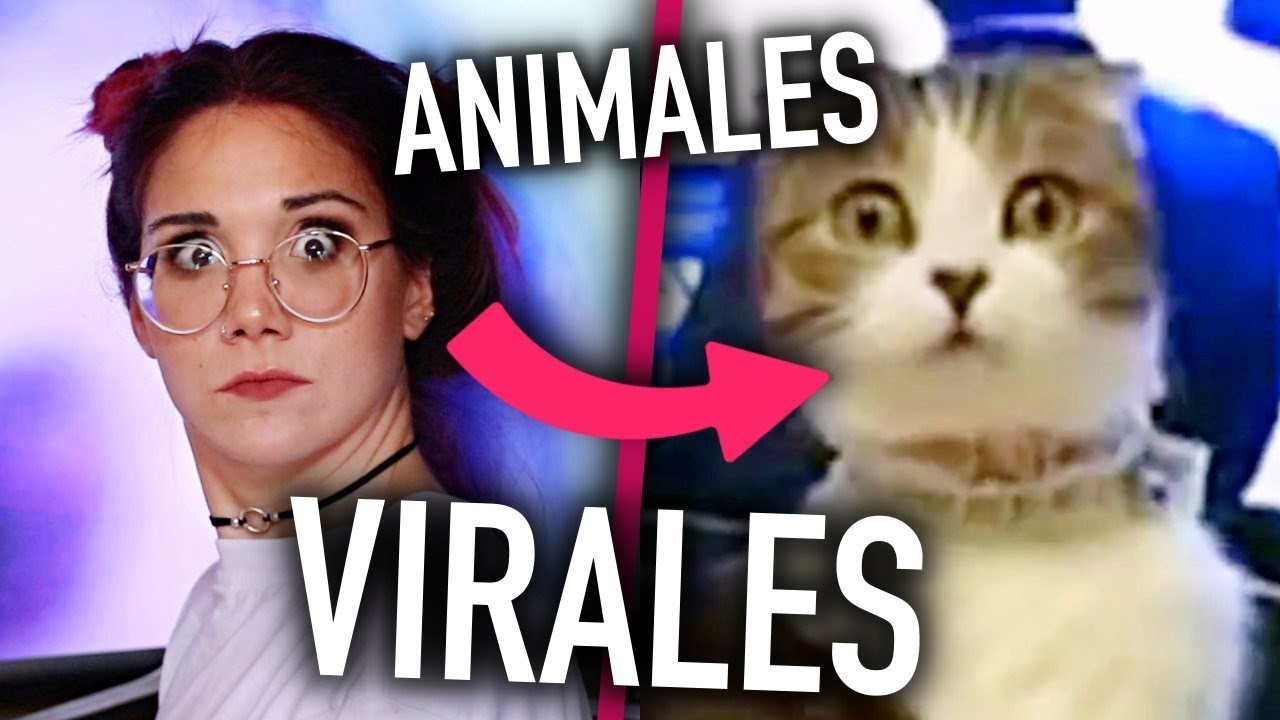 IMITANDO VÍDEOS VIRALES de ANIMALES *MUY GRACIOSOS* | Carla Laubalo