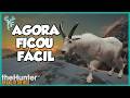 MAIS UMA CAÇADA MUITO BOA COM ALIMENTADOR - The Hunter Call of the Wild