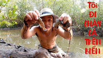 Tôi Đi Chày Cá Trên Bãi Biển Gò Công
