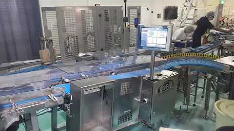 C80 dual lane checkweigher with air blast rejection