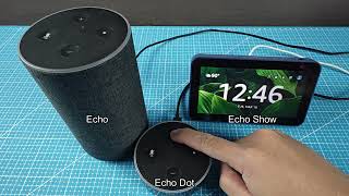 Turn Volume Up and Down on Alexa (Echo, Echo Dot & Echo Show)