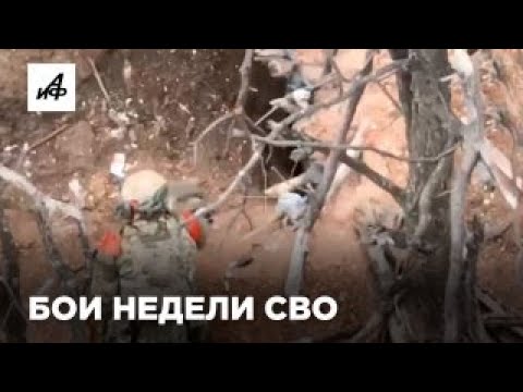 Бои недели СВО. Самые заметные кадры