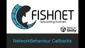 NetworkBehaviour Callbacks, Unity Multiplayer with Fish-Networking