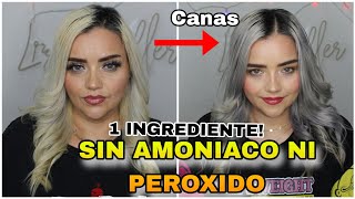 Matizador CASERO sin Peróxido ni AMONIACO para CANAS y Platinar cabello / lizzmuller