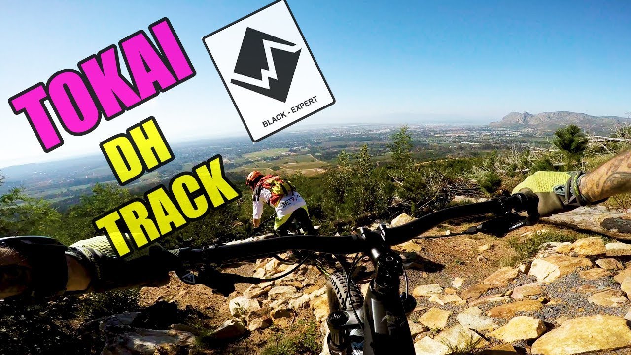 TOKAI DH TRACK | All Mountain Biking Cape Town - YouTube