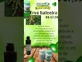 "A natureza tem o remédio que você precisa." #saude #plantas #natural