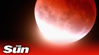 Super Flower Blood Moon total lunar eclipse 2022 - views from across the world