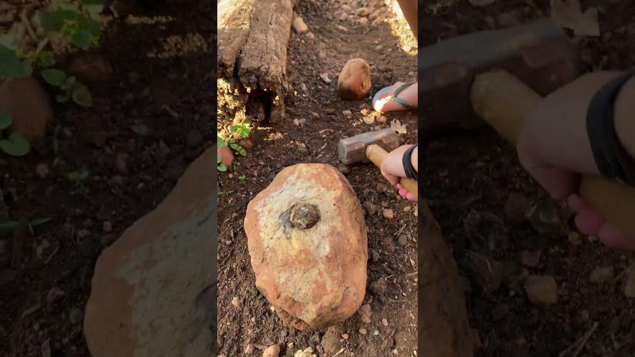 Soso Fazenda Vo Zé Comendo coco 
