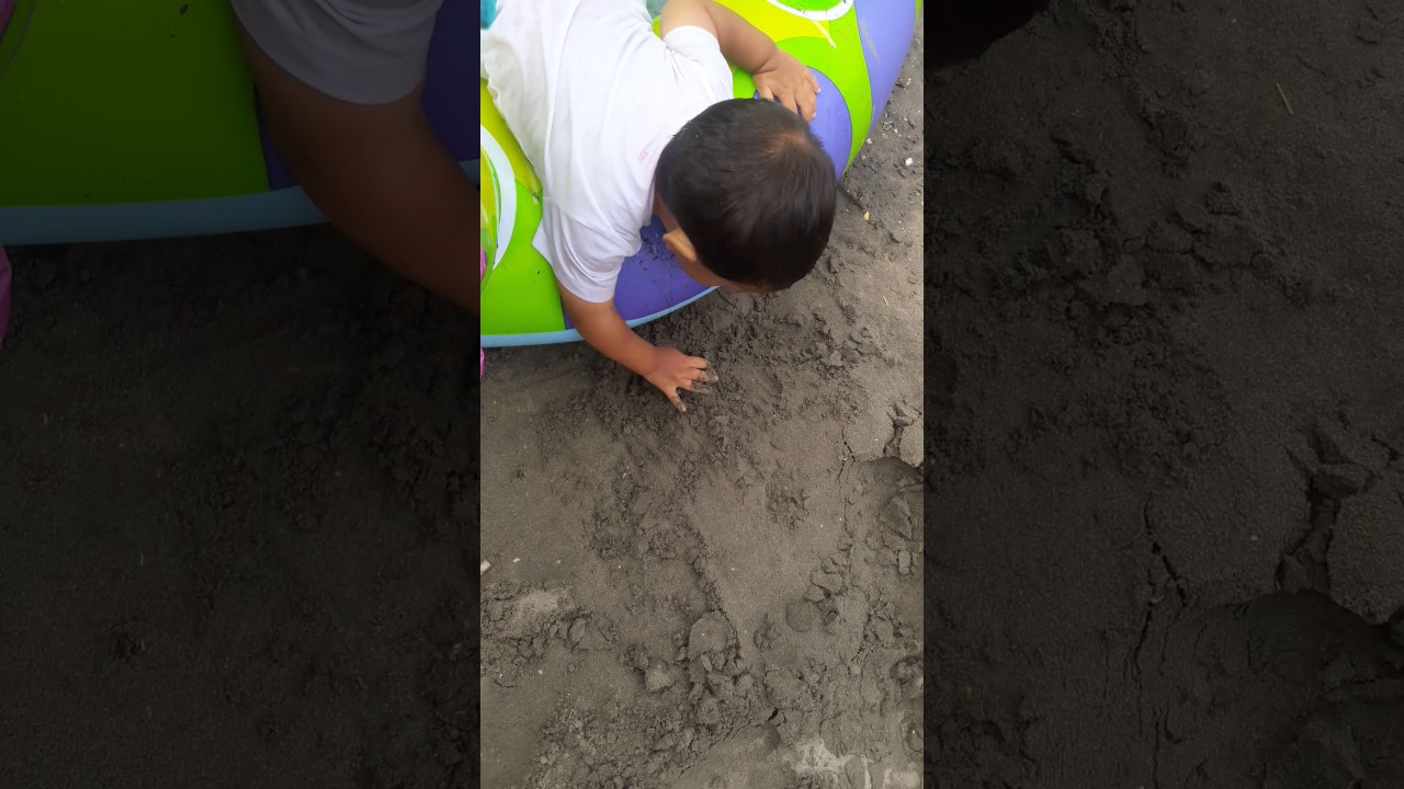 Ramcro alonso feb 2017