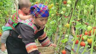 Today, mother and daughter went to work as hired laborers