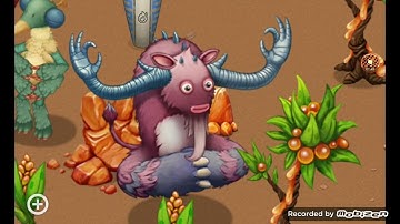 Flum ox on amber island