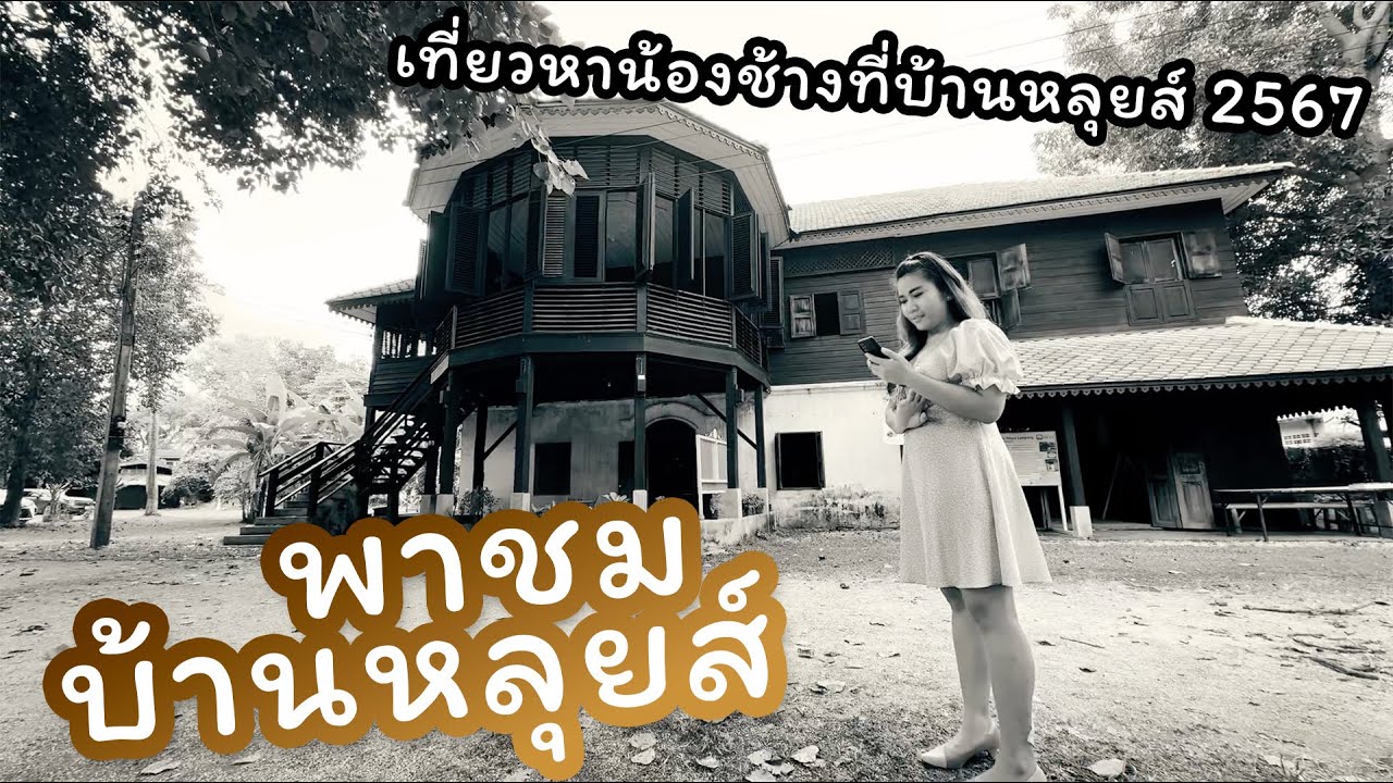 ตามติดชีวิตช้าง คลิปพิเศษ 26 พ.ย. 2567 แอดปป พาชมบ้านหลุยส์ ในกิจกรรม เที่ยวหาน้องช้างที่บ้านหลุยส์