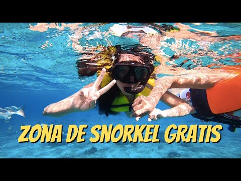 Video: Los mejores lugares para hacer snorkel en Cancún