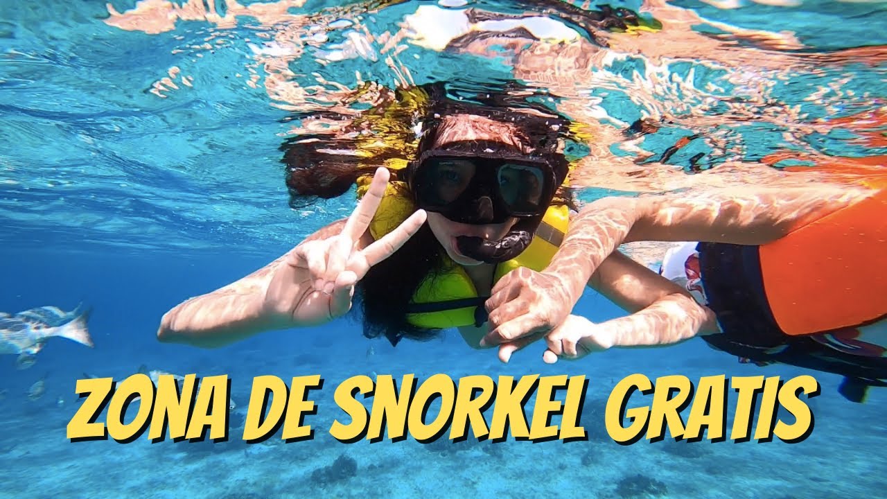 El Mejor Arrecife de Cozumel Gratis / La mejor zona de snorkel / Playa Publica