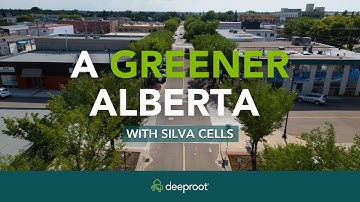 How Silva Cells Have Been Supporting Albertan Cities for Over 15 Years